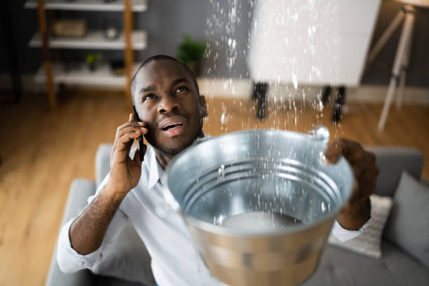 Best Local water damage restoration  in Towanda, KS