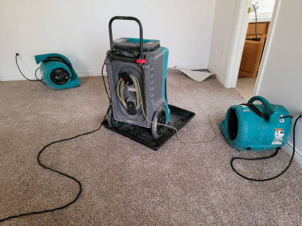 Best Water damage restoration near me  in Towanda, KS
