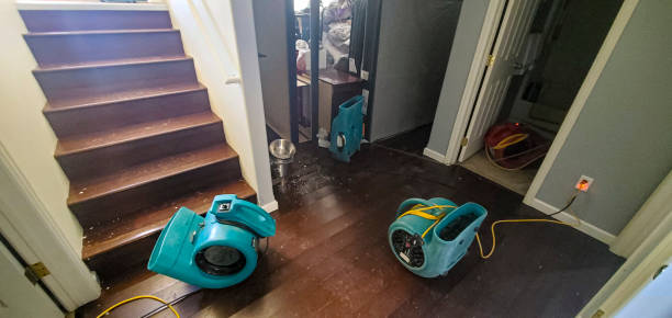 Best Carpet water damage restoration  in Towanda, KS