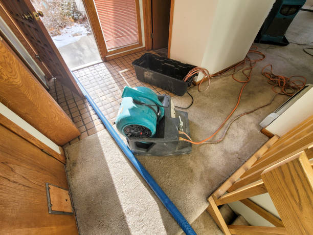 Best Commercial water damage restoration  in Towanda, KS