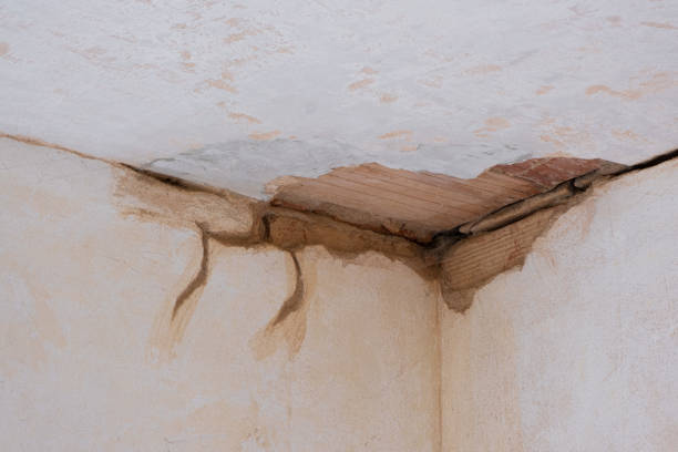 Best Water damage restoration company  in Towanda, KS