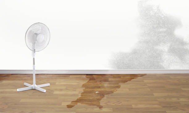  Towanda, KS Water damage restoration Pros