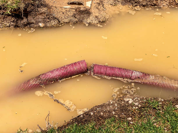 Best Mold removal after water damage  in Towanda, KS